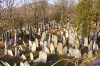 /album/fotogalerie-mikulov1/zidovsky-hrbitov-3-jpg/